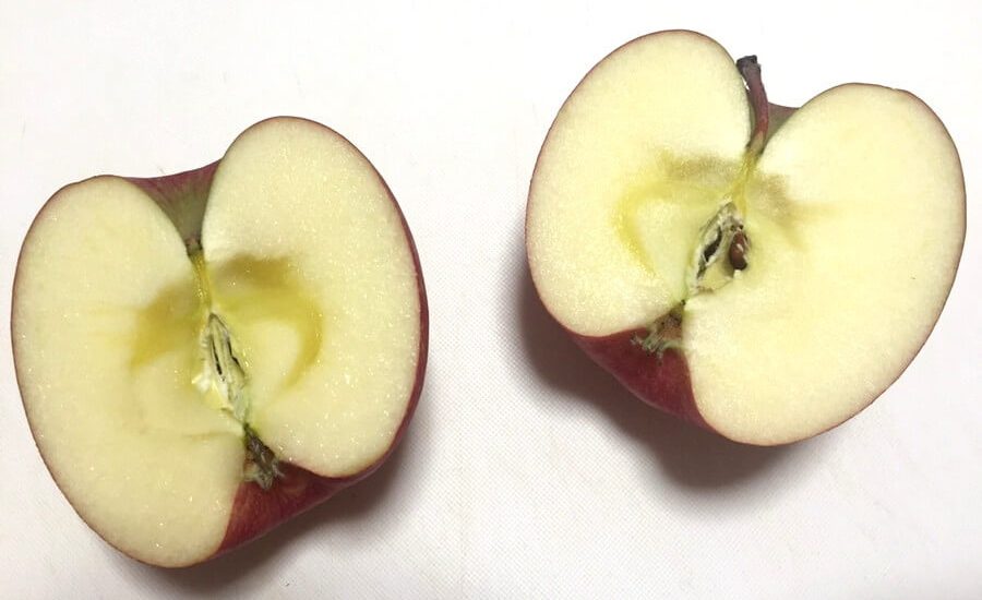 半分に割れたリンゴ
