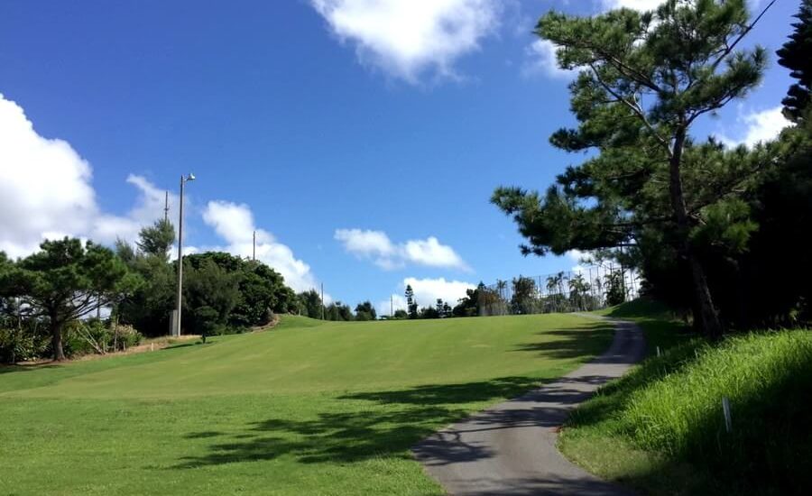 緑がキレイな場所