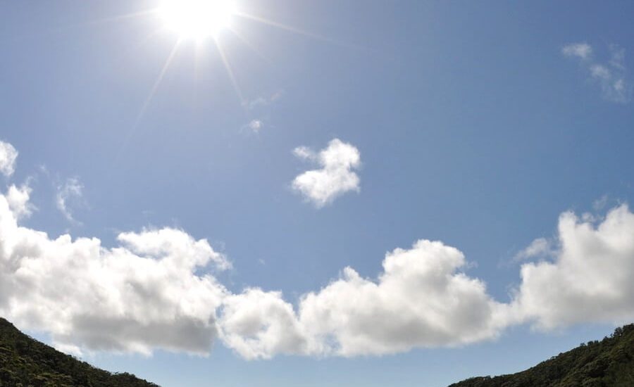 太陽がサンサンと降り注ぐ日